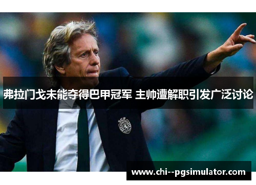 弗拉门戈未能夺得巴甲冠军 主帅遭解职引发广泛讨论
