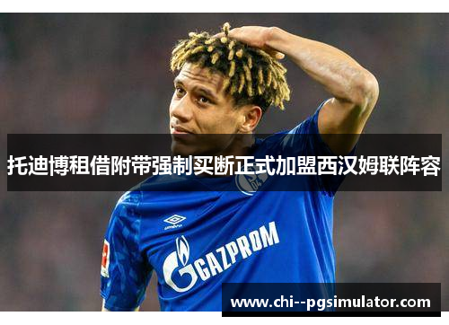 托迪博租借附带强制买断正式加盟西汉姆联阵容