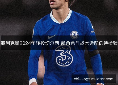 菲利克斯2024年转投切尔西 新角色与战术适配仍待检验